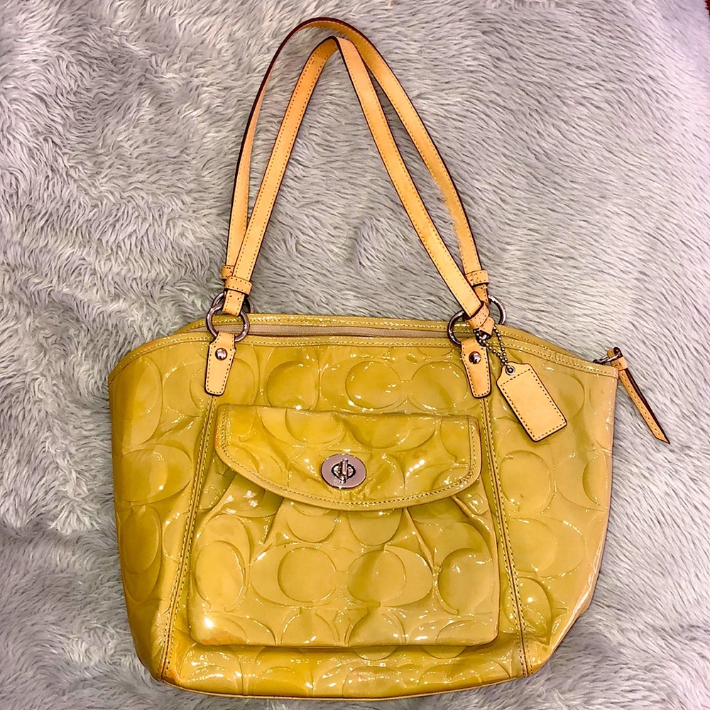 Coach bag (stained)